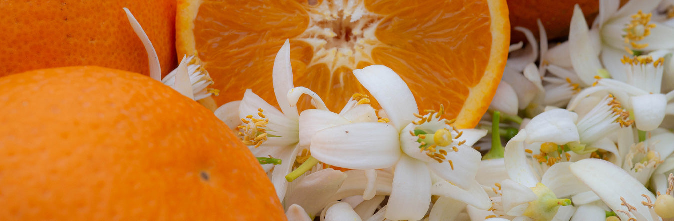 orange essential oil, neroli and orange blossom fragrances