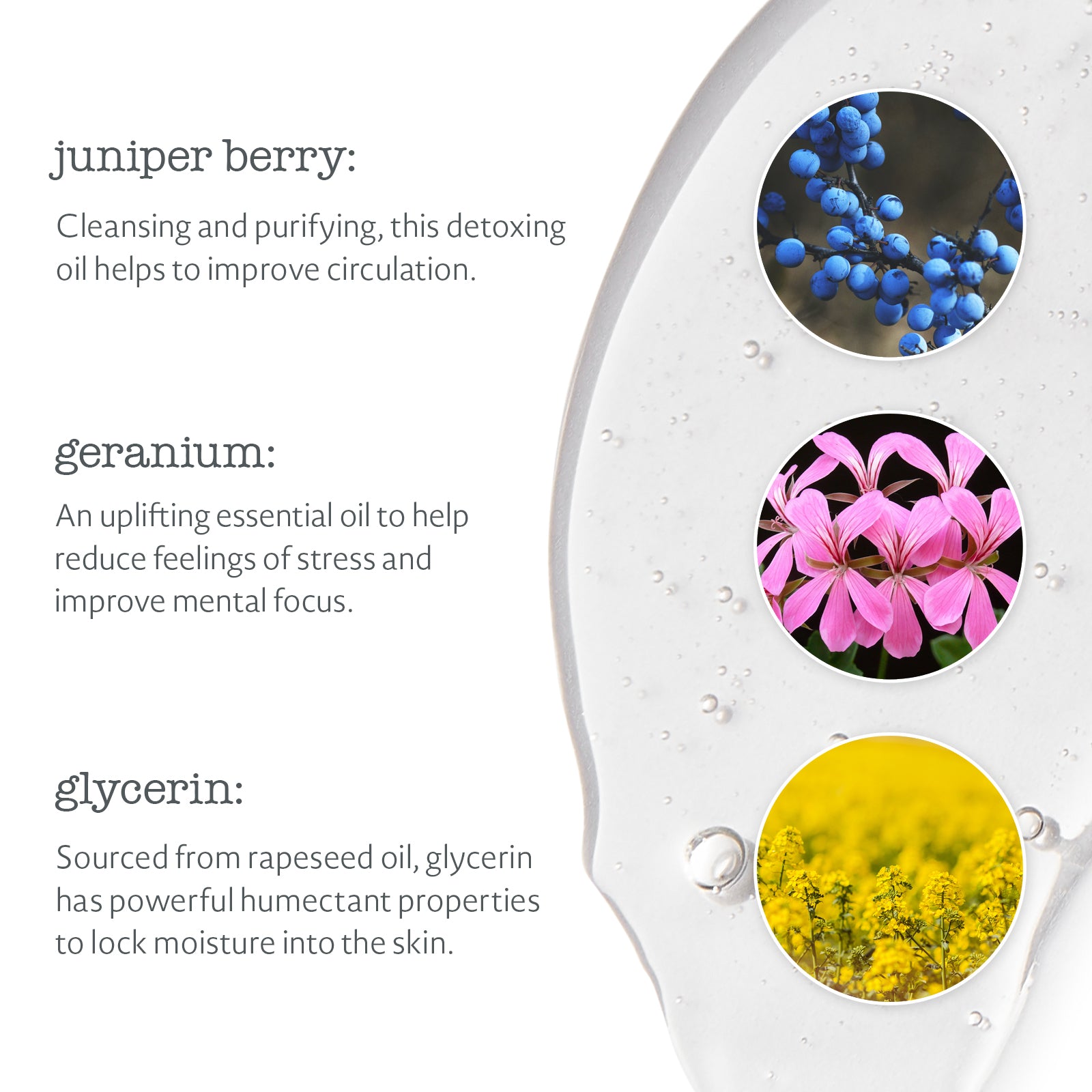 Juniper Berry & Geranium Body Wash (9.8 fl.oz.)