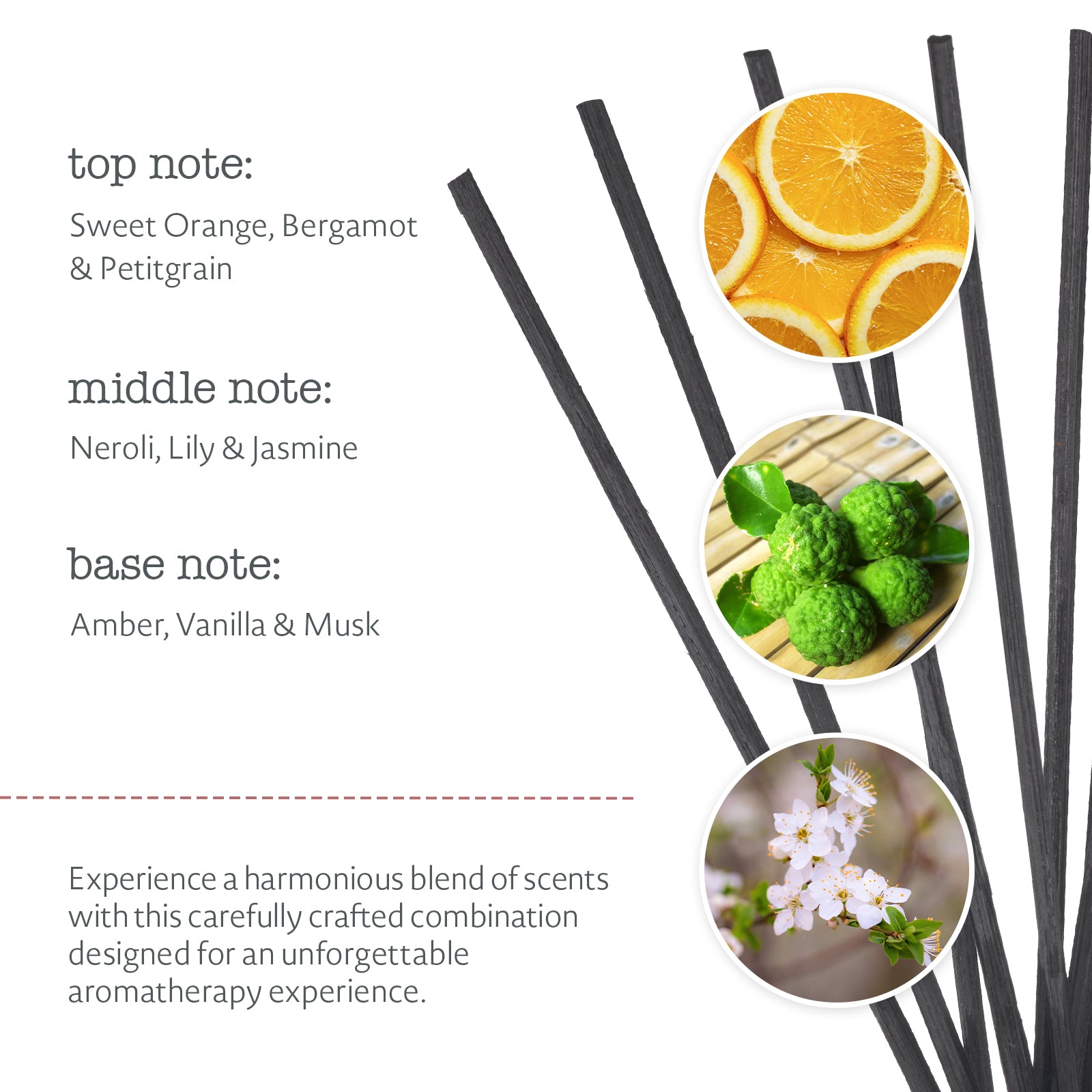 Zest Sweet Orange & Bergamot Aromatherapy Reed Diffuser (5.8 fl.oz, 173ml)