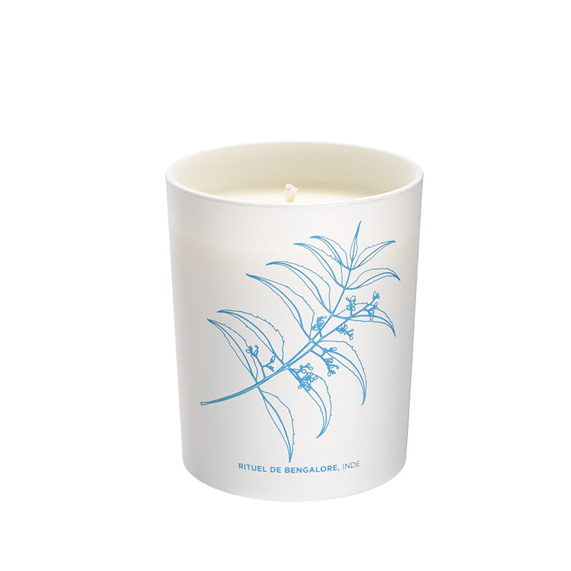 100% soy-based candle for aromatherapy with Cardamom and Vanilla